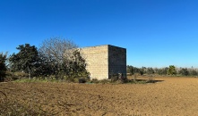 Fabbricati con terreno agricolo di pertinenza in vendita a Cutrofiano 