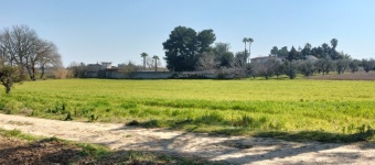 Terreno agricolo in vendita poco distante dal centro abitato di Aradeo