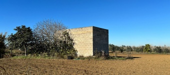 Fabbricati con terreno agricolo di pertinenza in vendita a Cutrofiano 